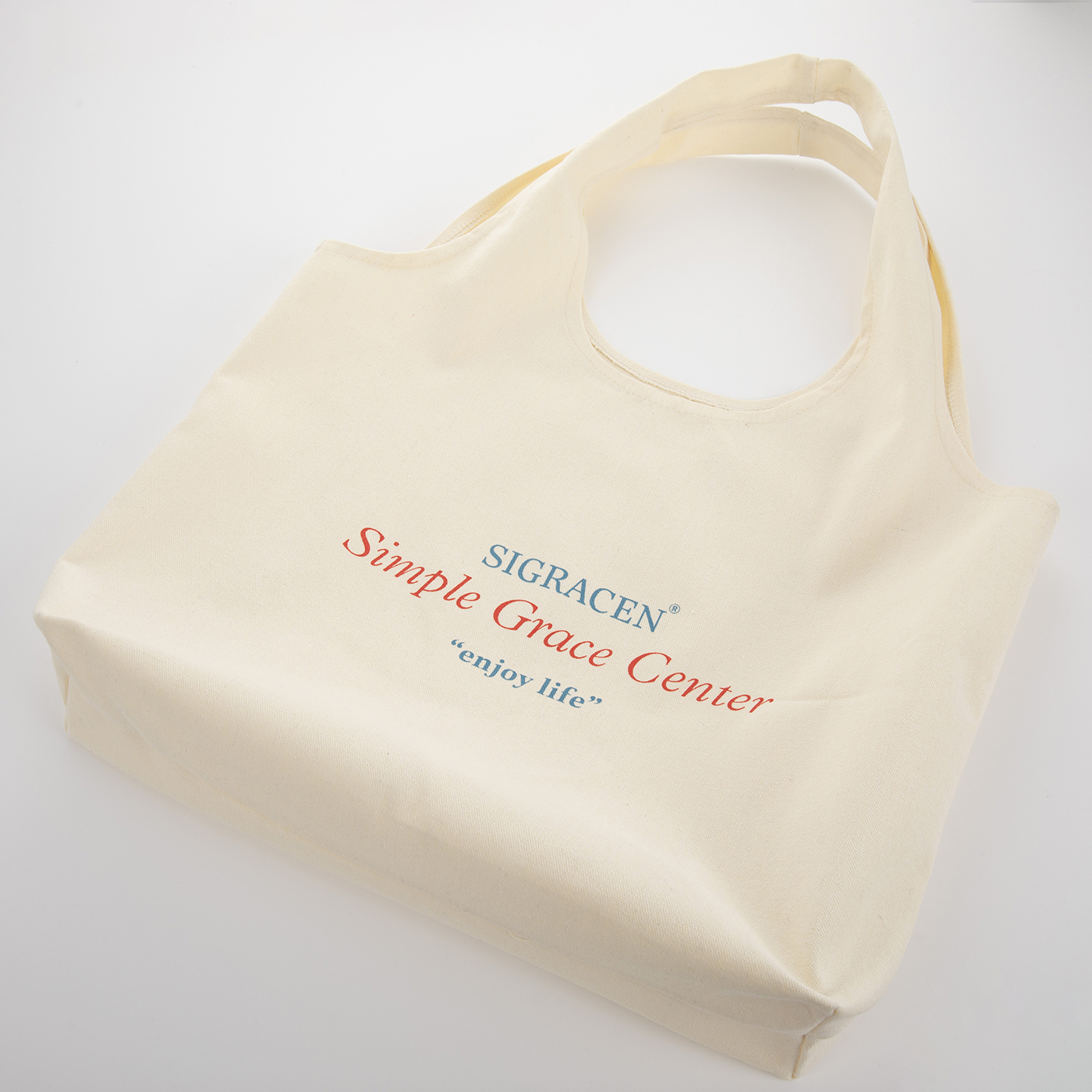  Grocery Bags With Handles2