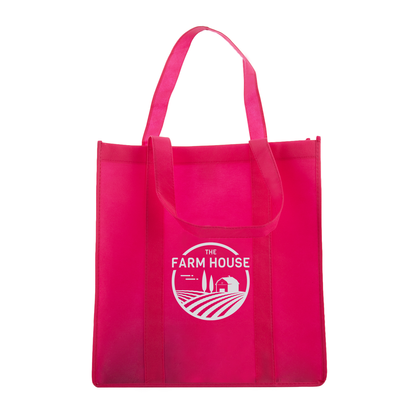  Non-Woven Party Favor Bags 