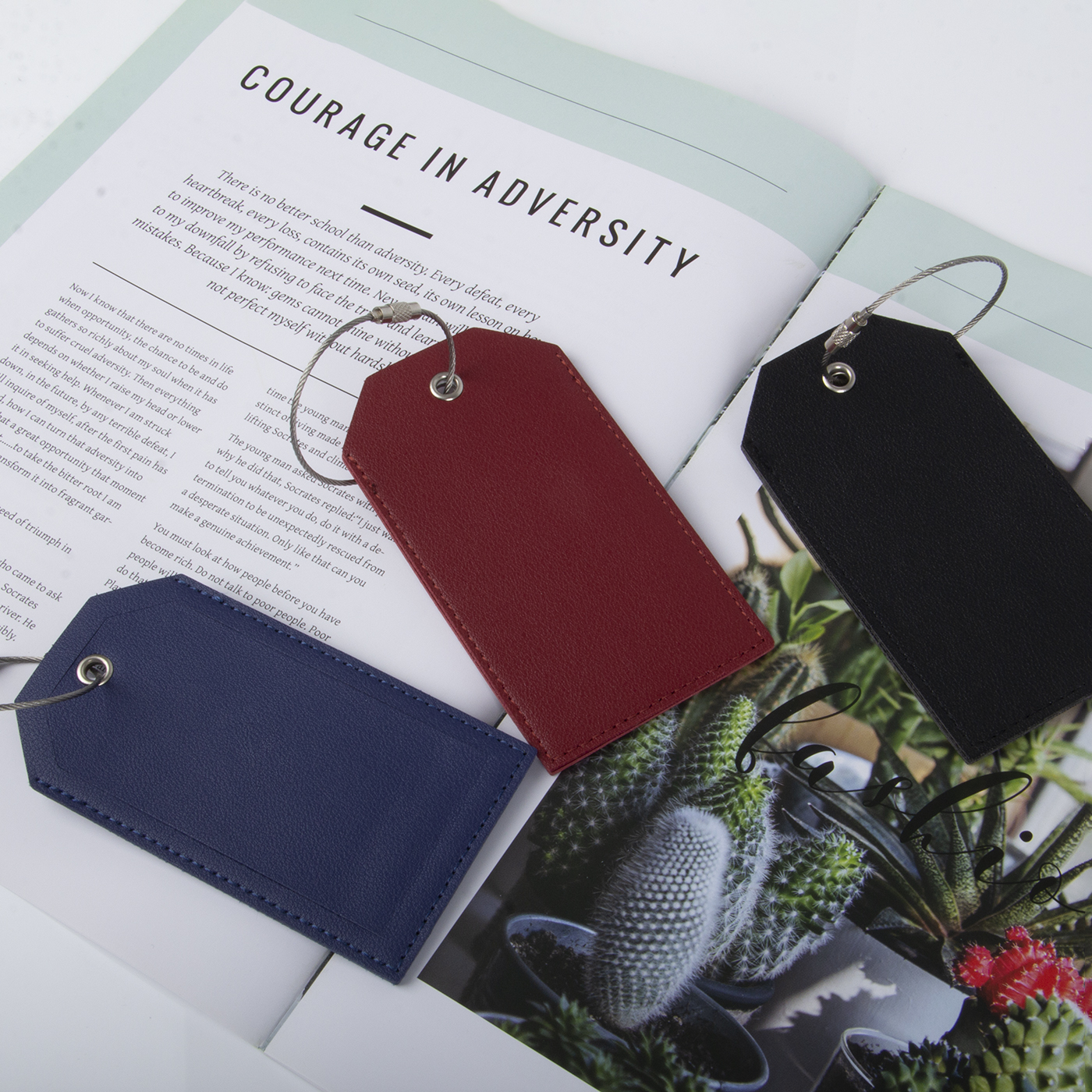 Leather Luggage Tag with Privacy Cover & Steel Loop2