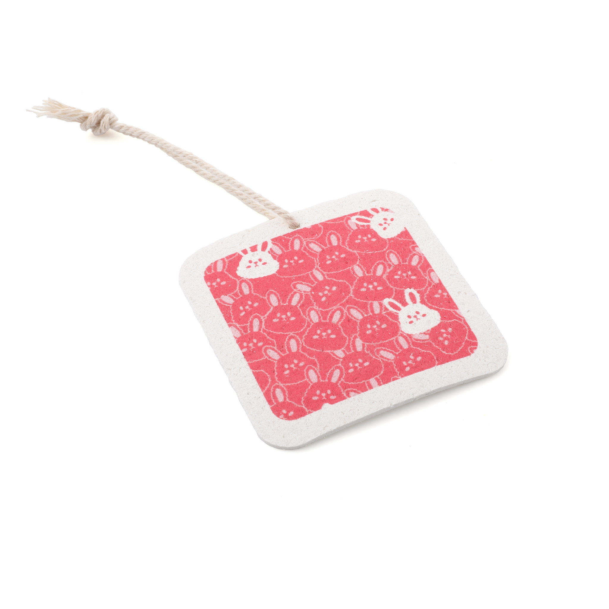 Promotional Kitchen Compressed sponge2