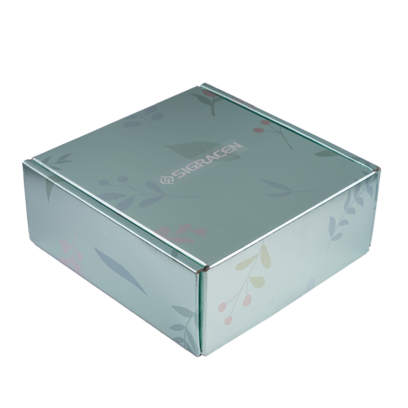 Promotional Large Paper Shipping Box1
