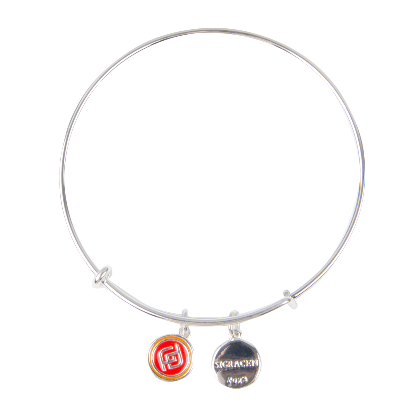 Adjustable Bangle Charm Bracelet 1