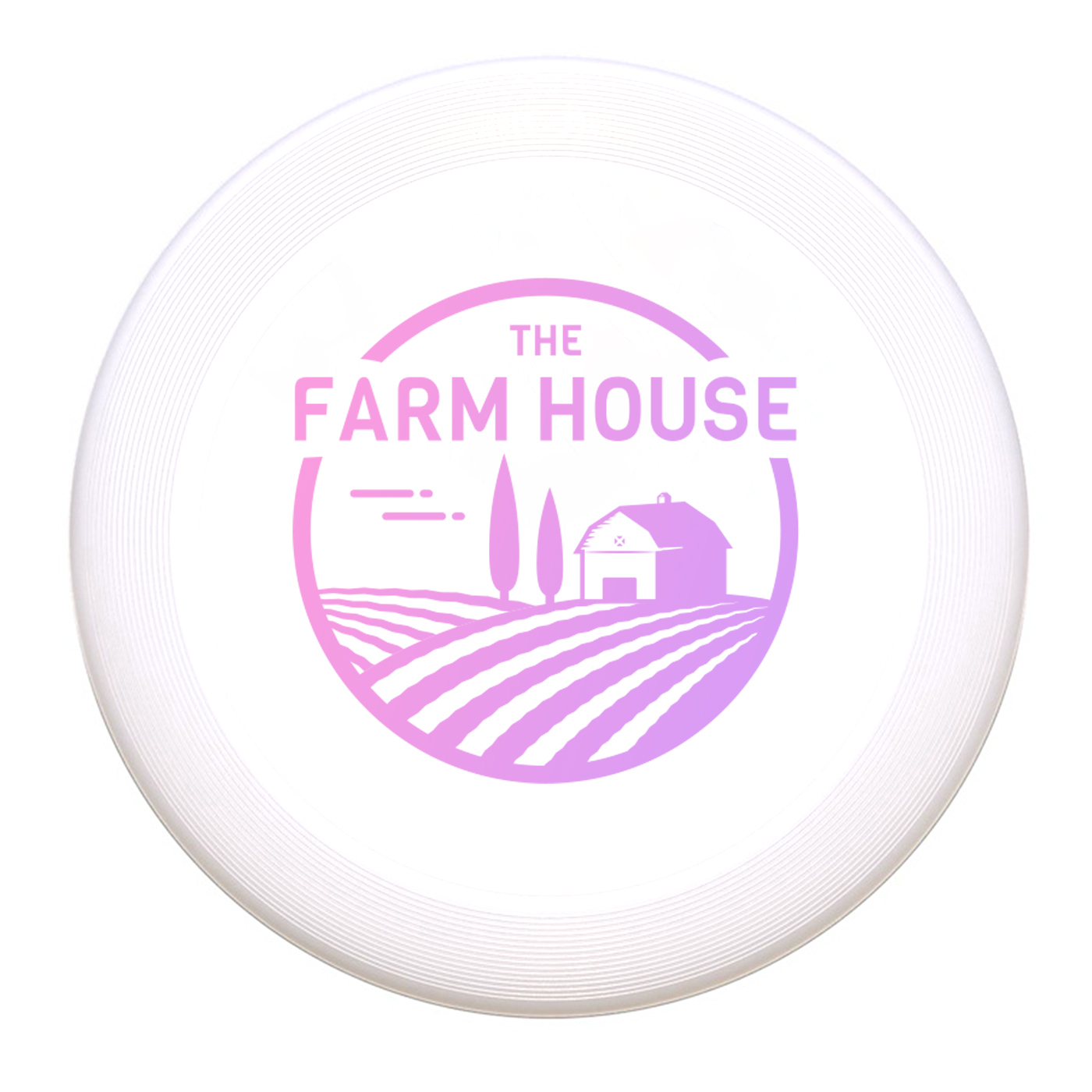 Custom Outdoor Flying Disc