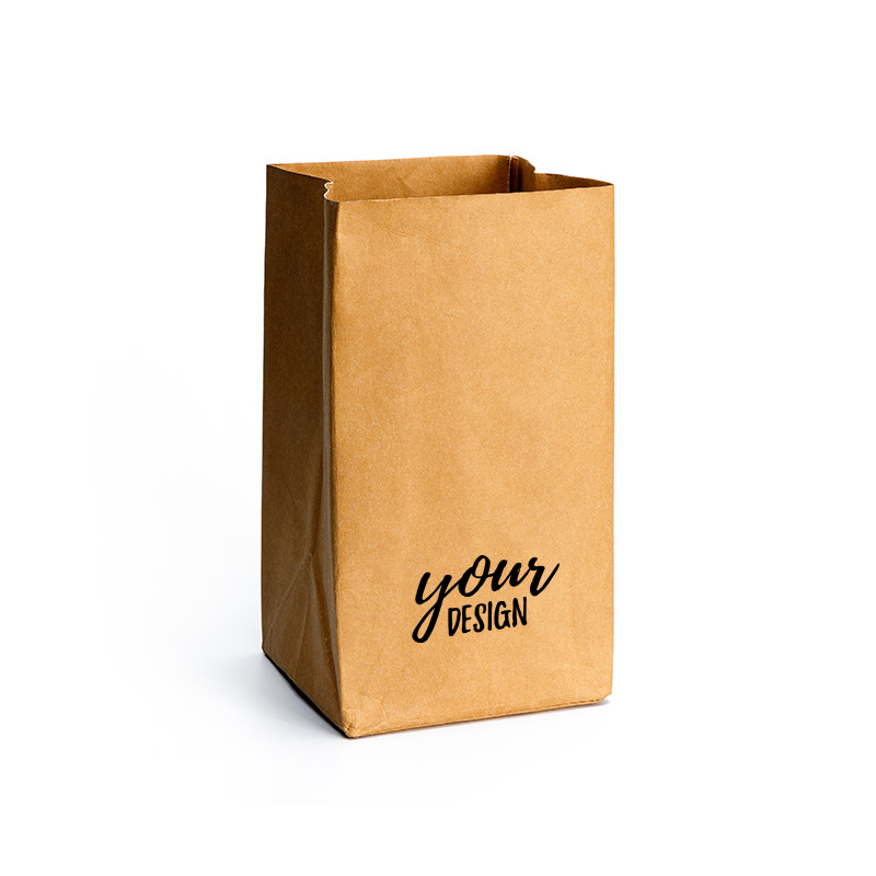 Custom Small Kraft Paper Grocery Bag1