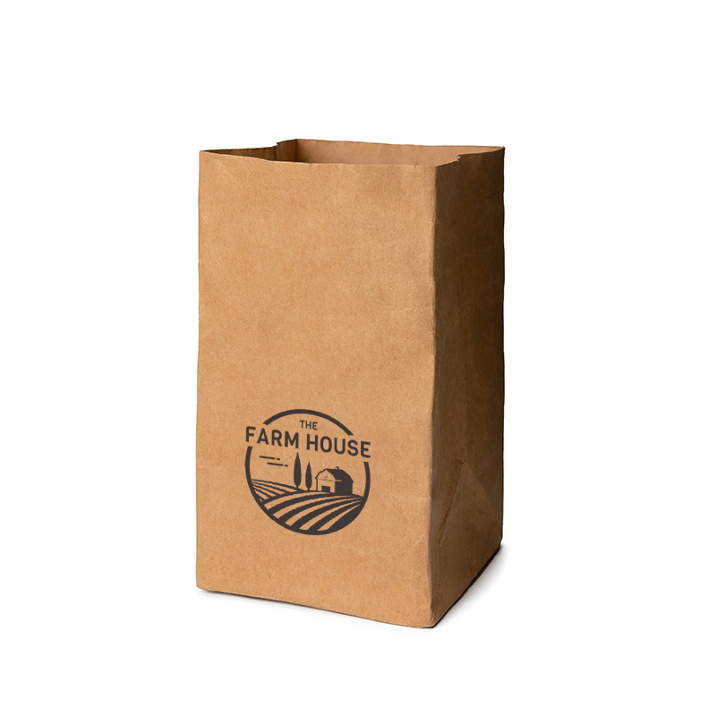 Custom Large Kraft Paper Grocery Bag