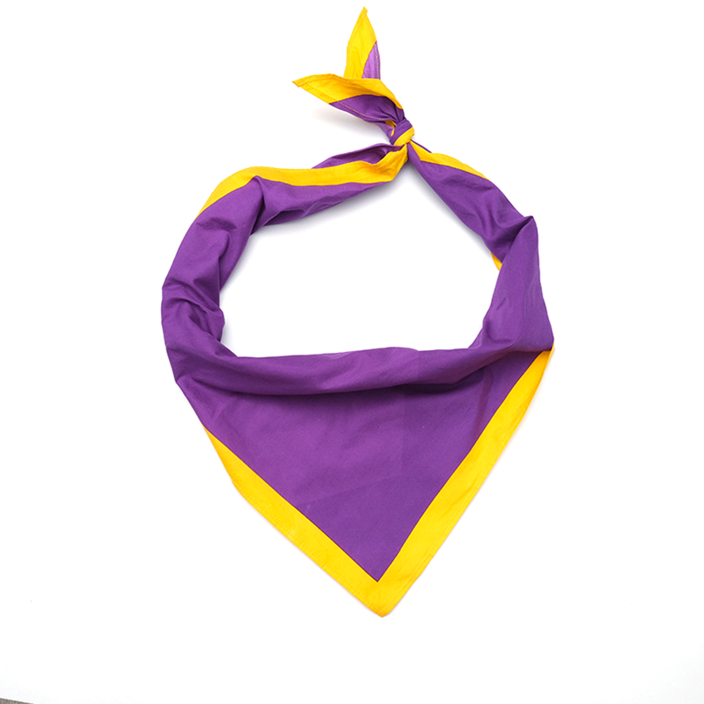 Custom Triangle Bandana