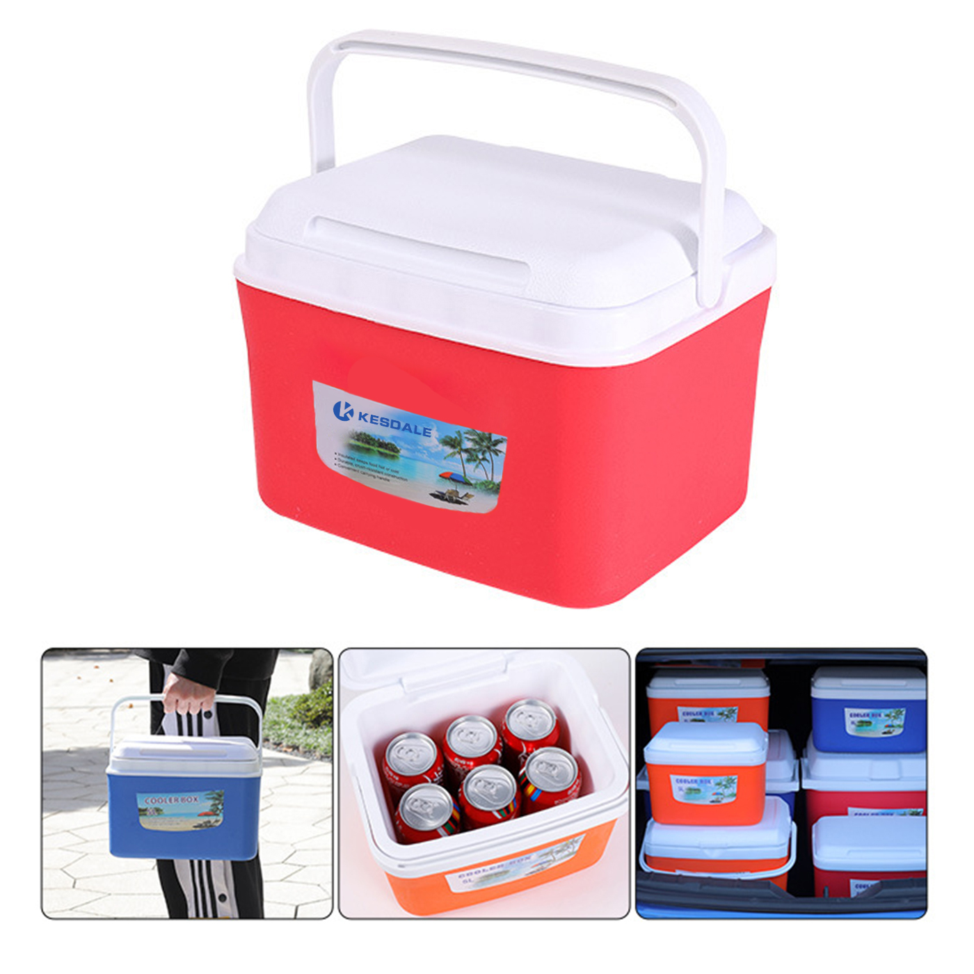 Insulated Portable Cooler Box