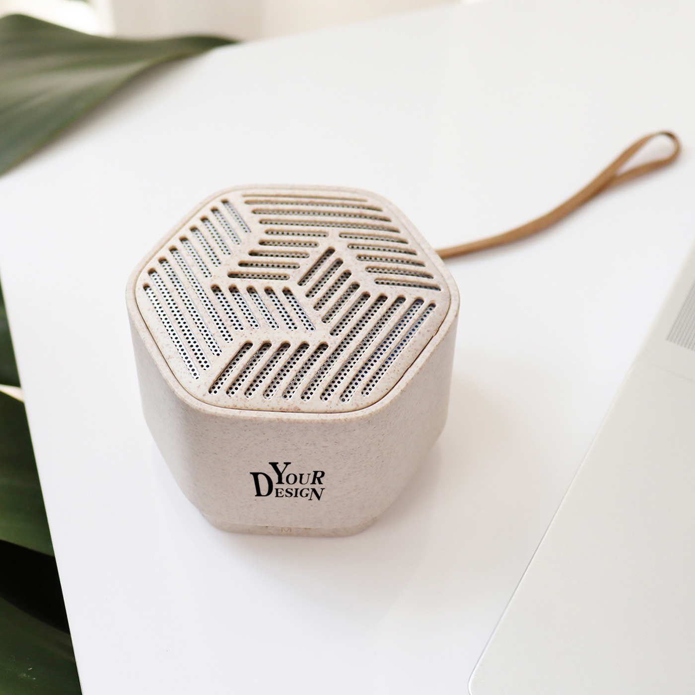 Eco Wheat Straw Speaker Gift 