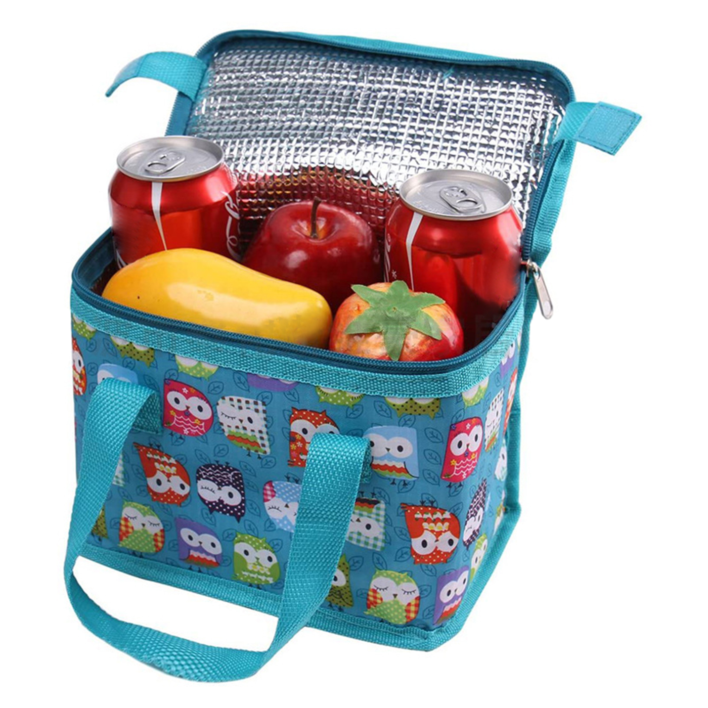 Insulated Lunch Bag