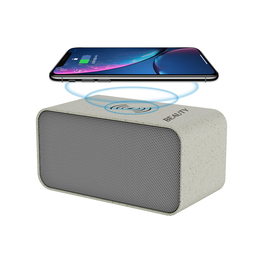 Custom Wireless Speaker