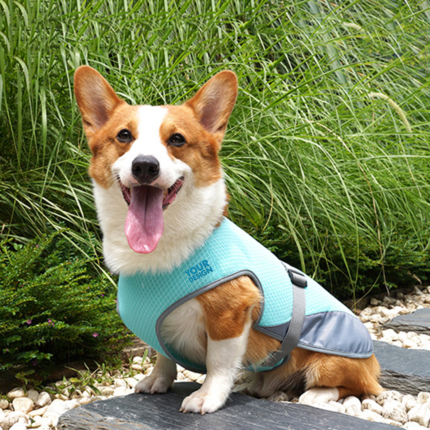 Promotional Large Dog Cooling Vest3