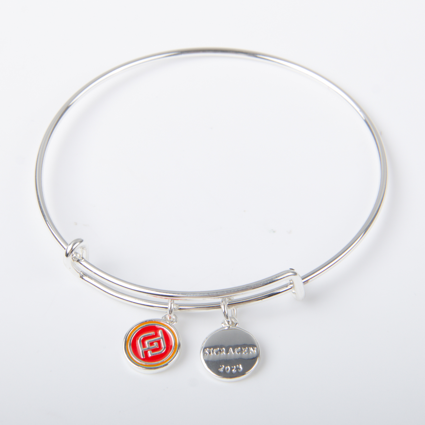 Adjustable Bangle Charm Bracelet 2