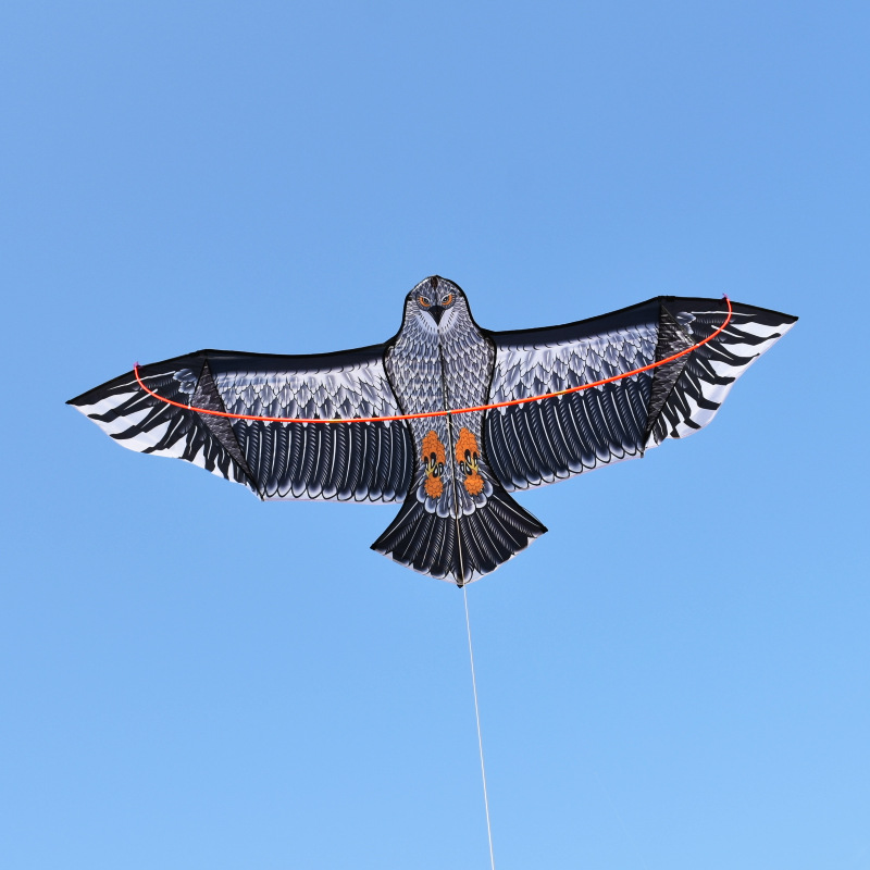 Customized Hawk Kite 2