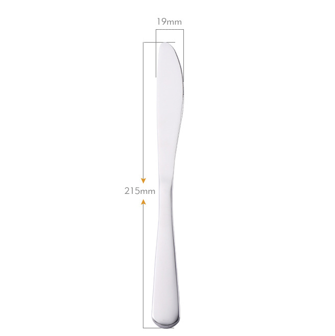 Durable Stainless Steel Dinner Knife1