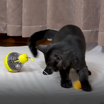 Tumbler Cat Toy 2