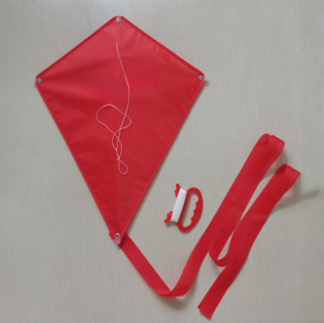 Custom Diamond Kite3