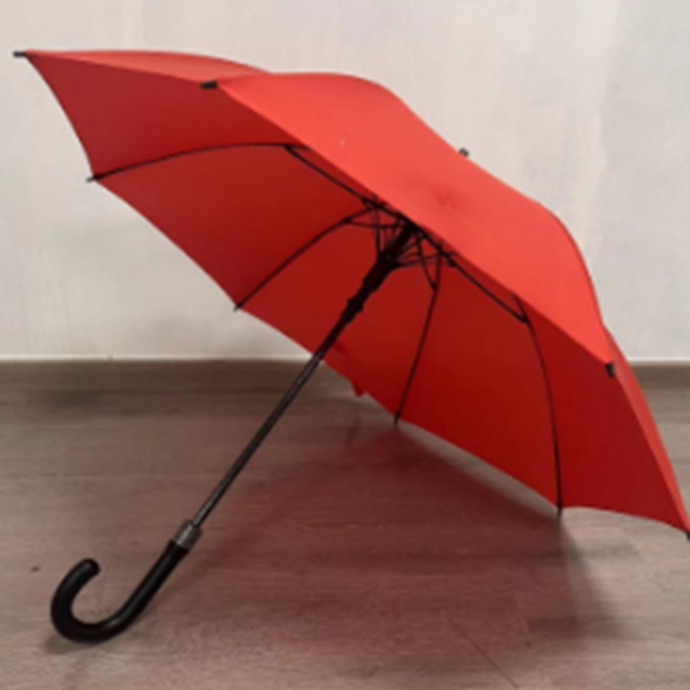 Promotion Travel Folding Umbrella 3
