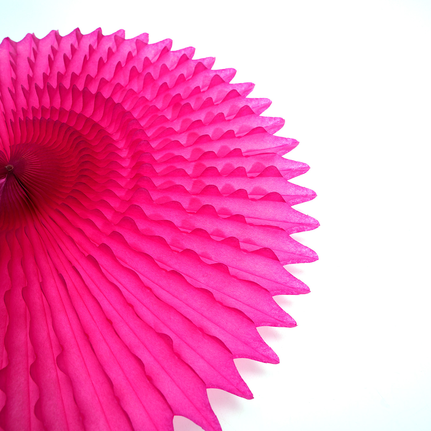 Round Folding Fan2