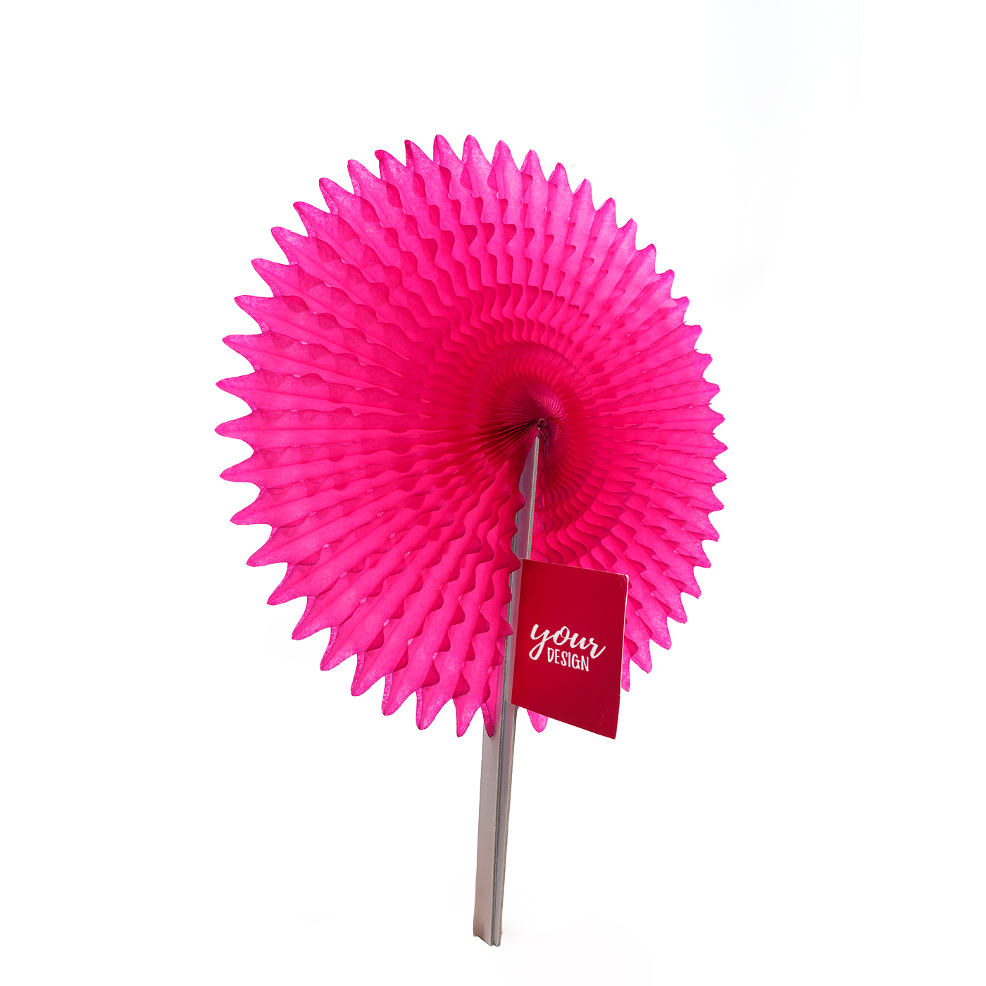 Round Folding Fan1
