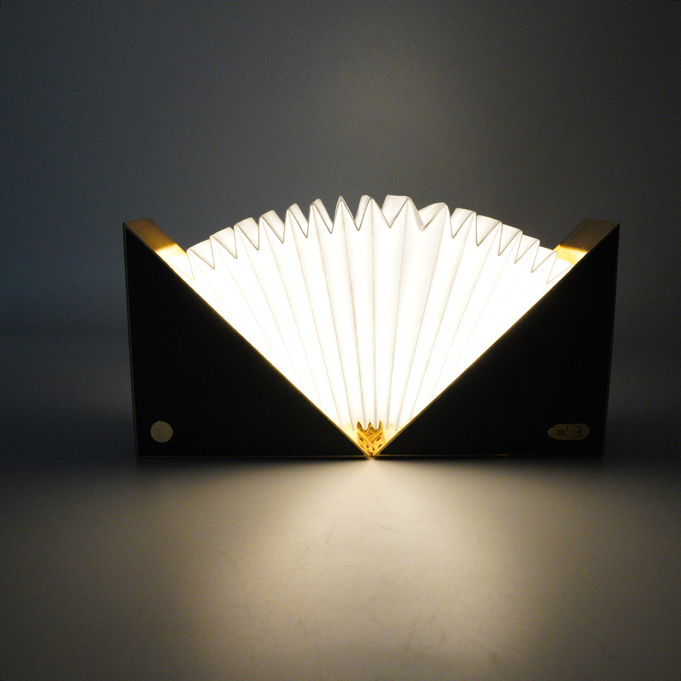 LED Book Light2