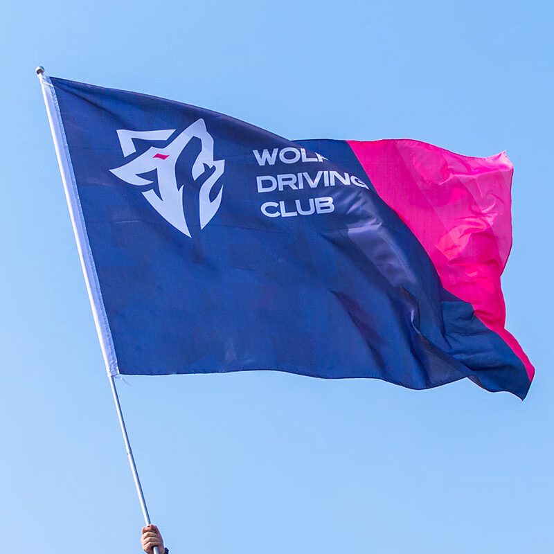 Personalized Large Handheld Waving Flag2