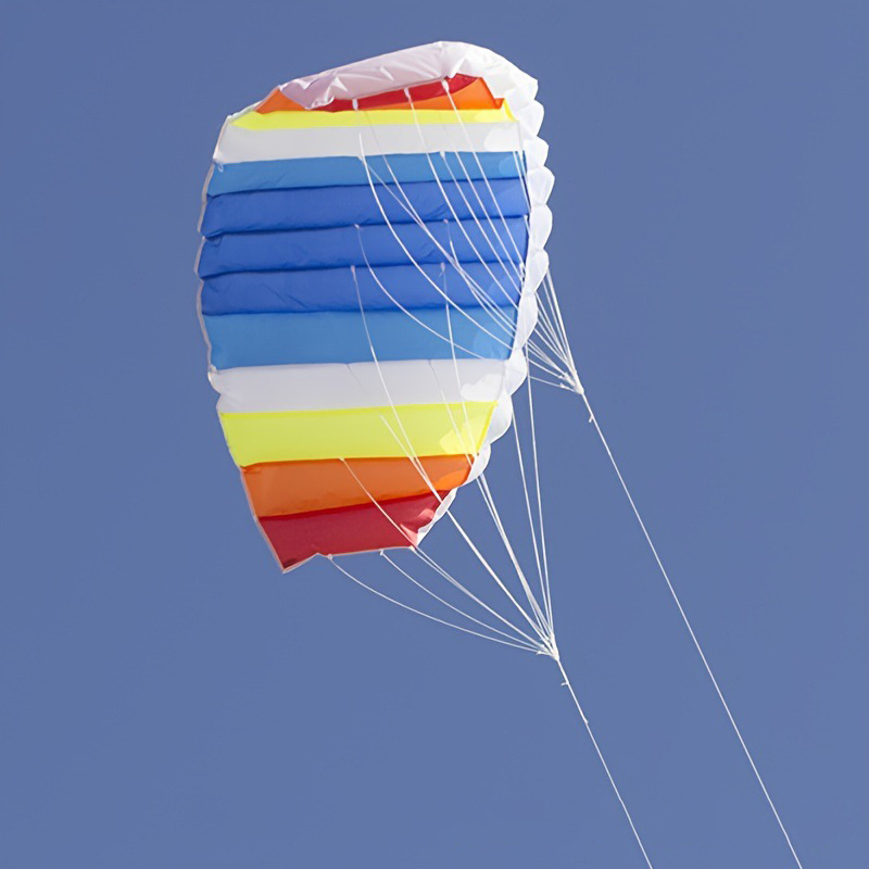 Promotional Dual-line Parafoil Kite2