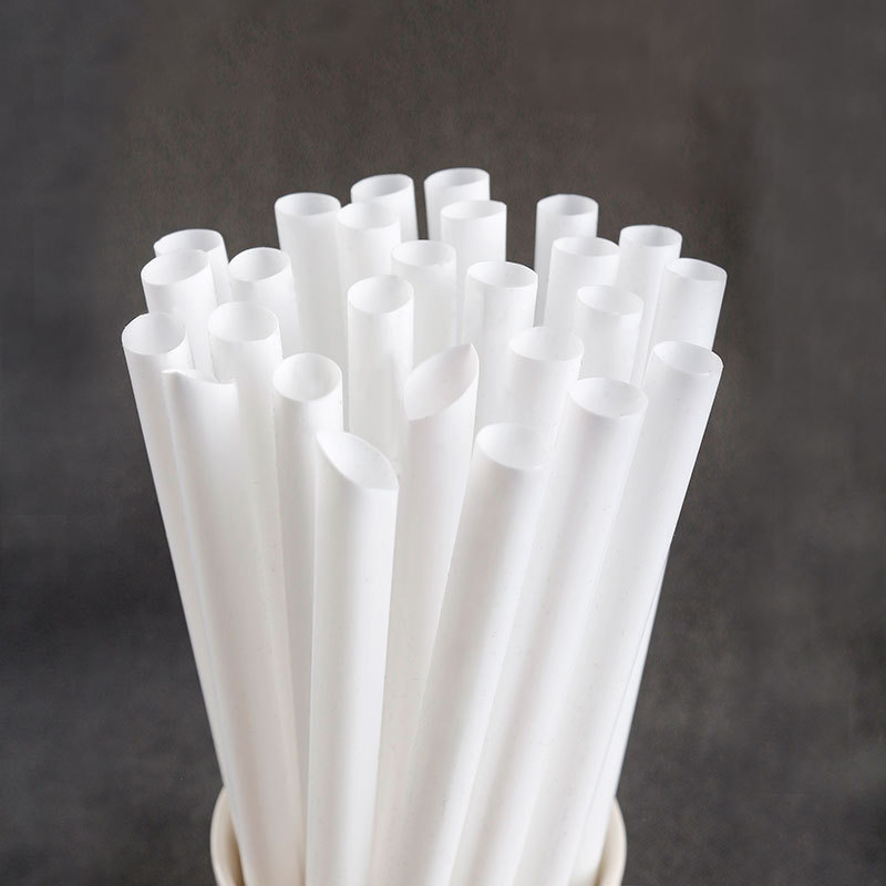 Customizable Eco-Friendly Biodegradable Straws3