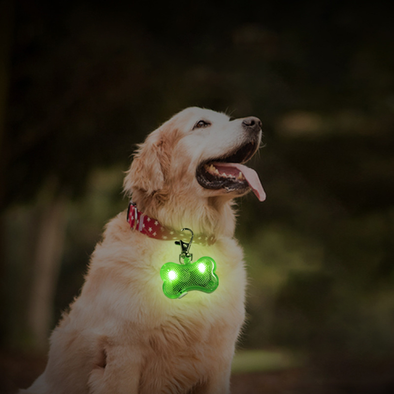 Dog Bone Pet Collar Pendant 3