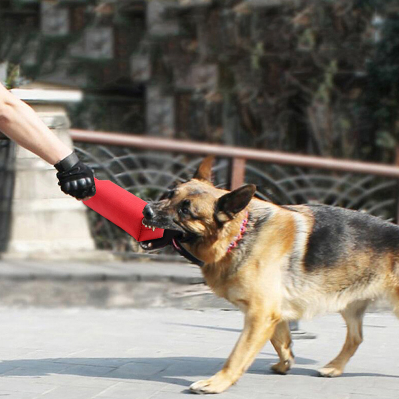 Dog Training Fire Hose Bite Tug With Handle1