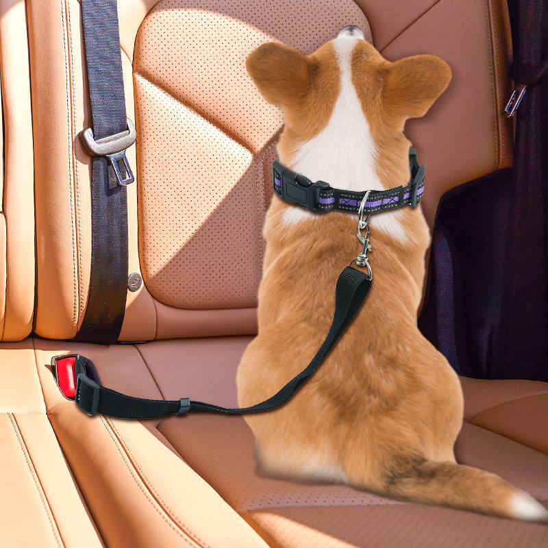Retractable Pet Car Seat Belt