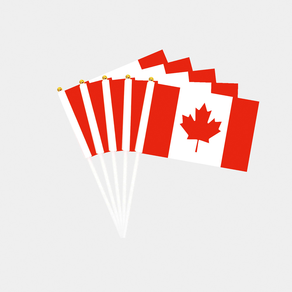 Peronalized Hand Waving Flag2