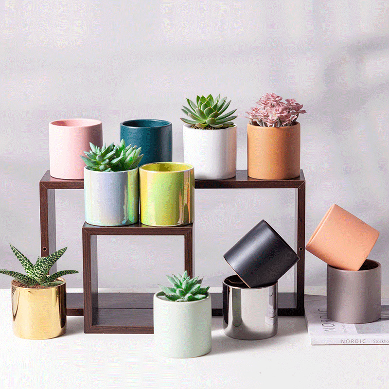 Mini Ceramic Planter Pot 