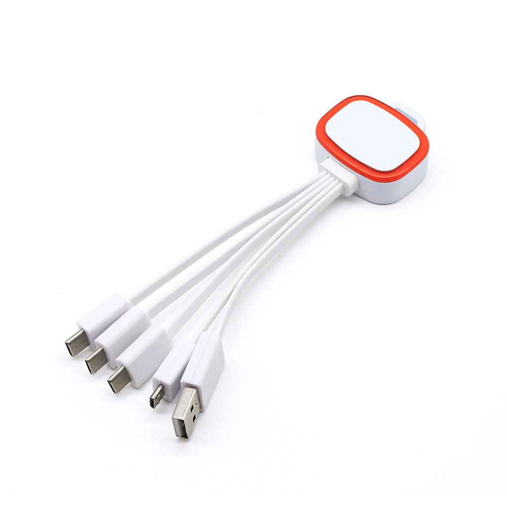 Custom 5 In 1 Multi USB Cable