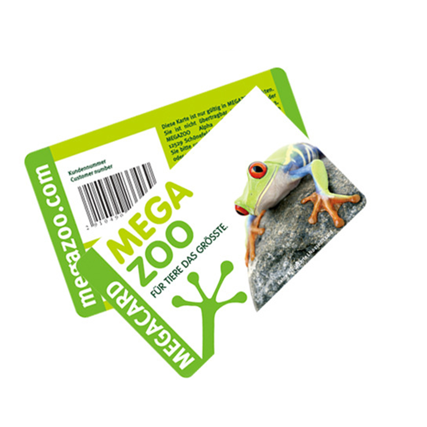 Customized Plastic Staff Employee ID Cards1