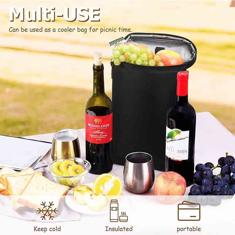 Travel Wine Cooler Bag1
