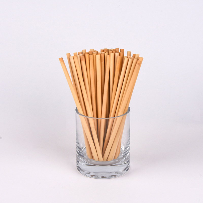 Custom Eco Friendly Plant Straw Disposable3