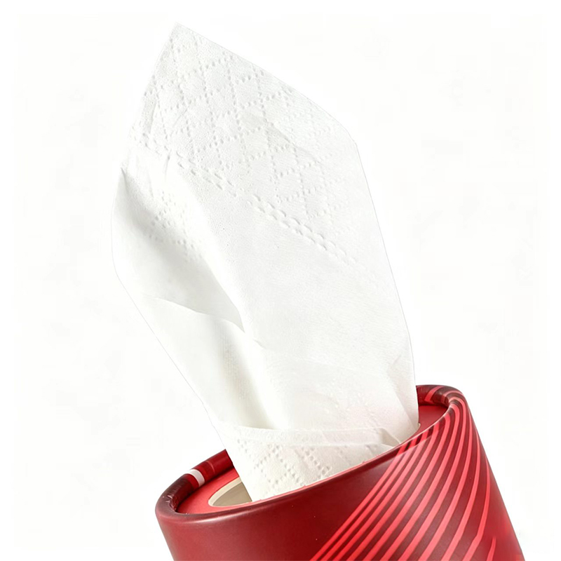 Round Car Tissue Canister Dispenser2