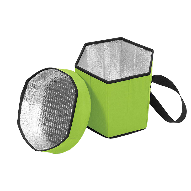 Reusable Insulated Soft Cooler Bag2