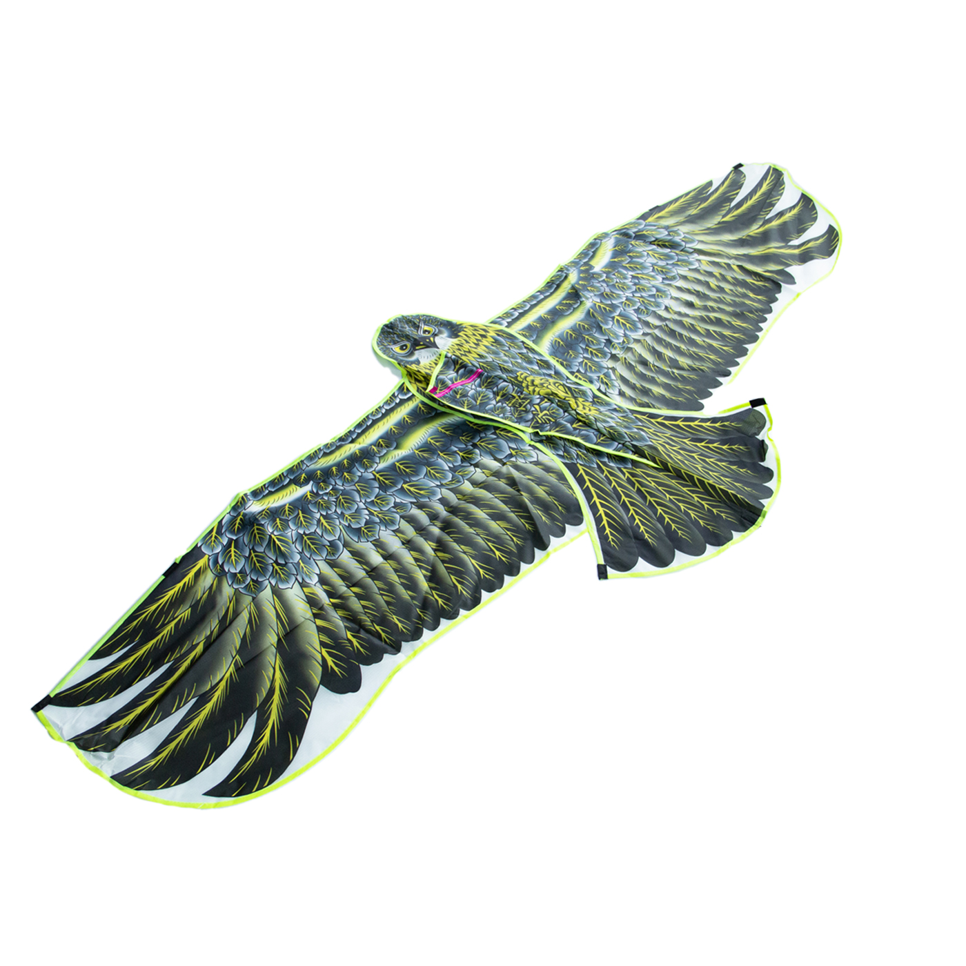 Large Eagle Kite1