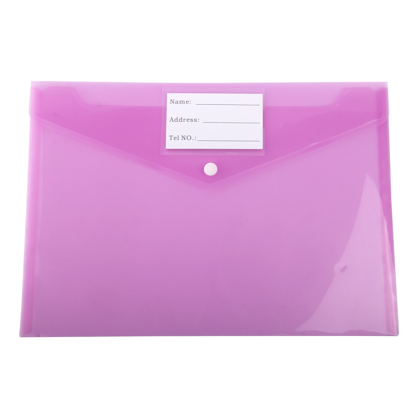 Clear Plastic File Folder